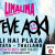 Steve Aoki live concert