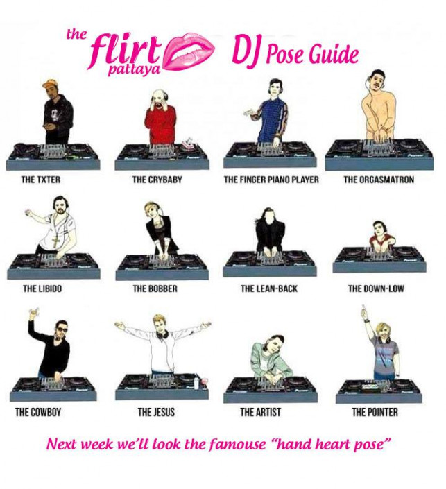 DJ Pose Guide