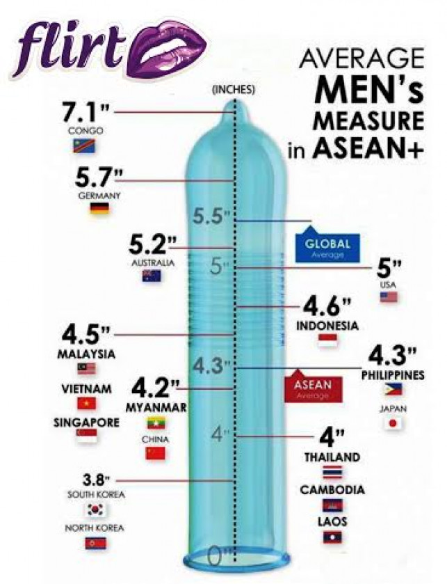 ASEAN Community Members line up…